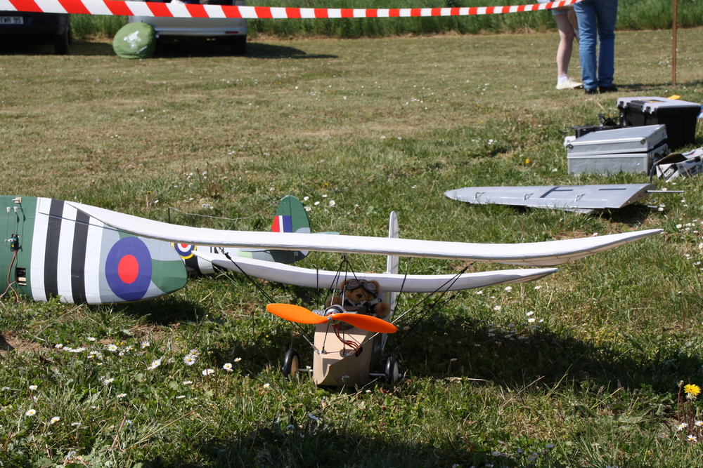 Le pou à Crespière2010